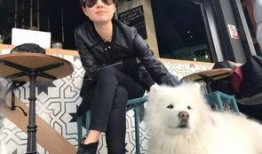 爆料汪小菲狗崽视频播放,萌态可掬引网友热议